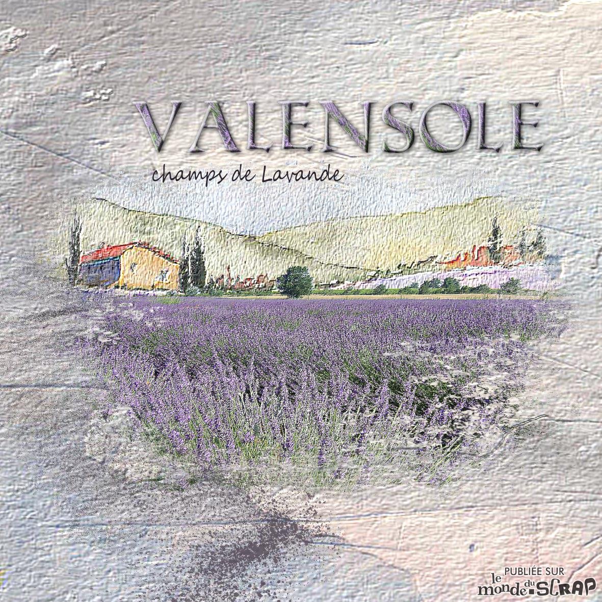 valensole.jpg