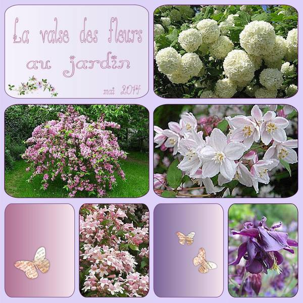 Valse des fleurs au jardin