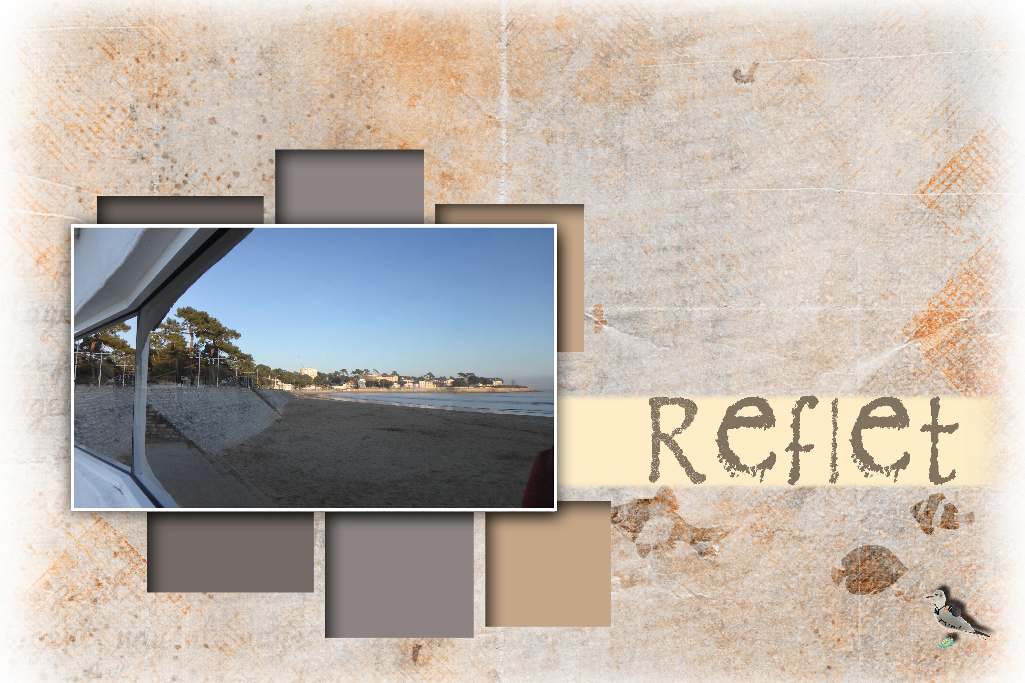 Vaux Nauzan-reflet fenêtre-10novembre.jpg