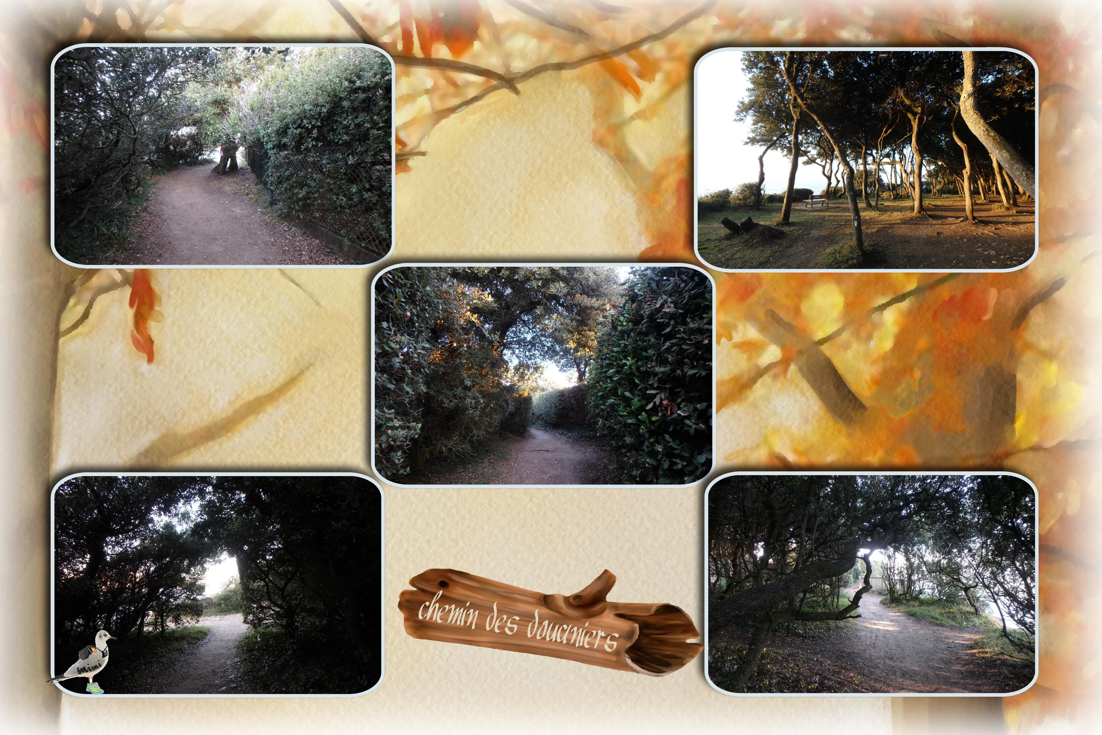 Vaux St Palais-chemin des douaniers2-10novembre.jpg