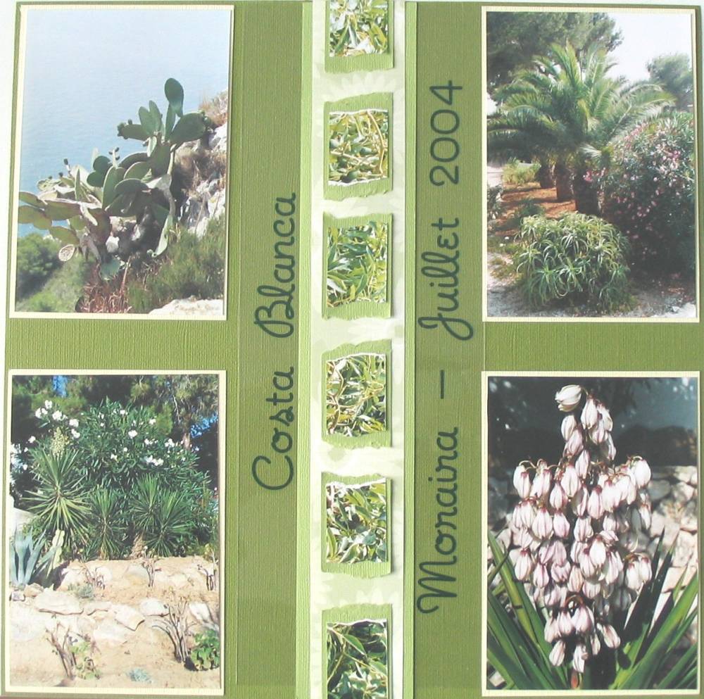 Végétation à Moraira