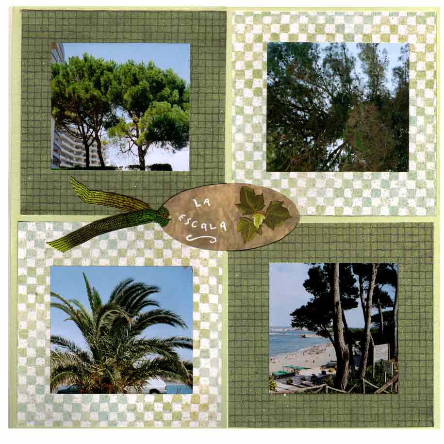 végétation méditerranéenne