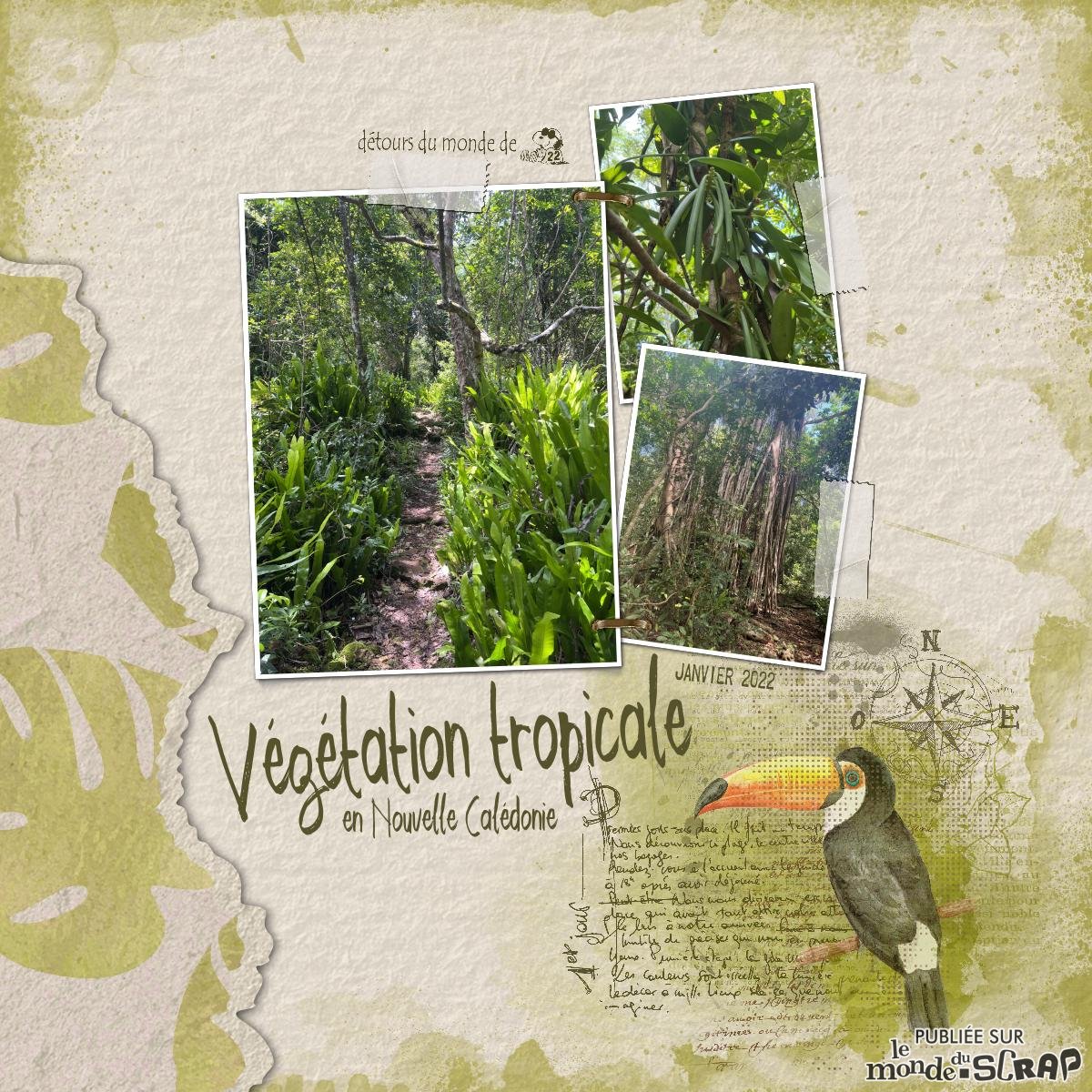 Végétation tropicale