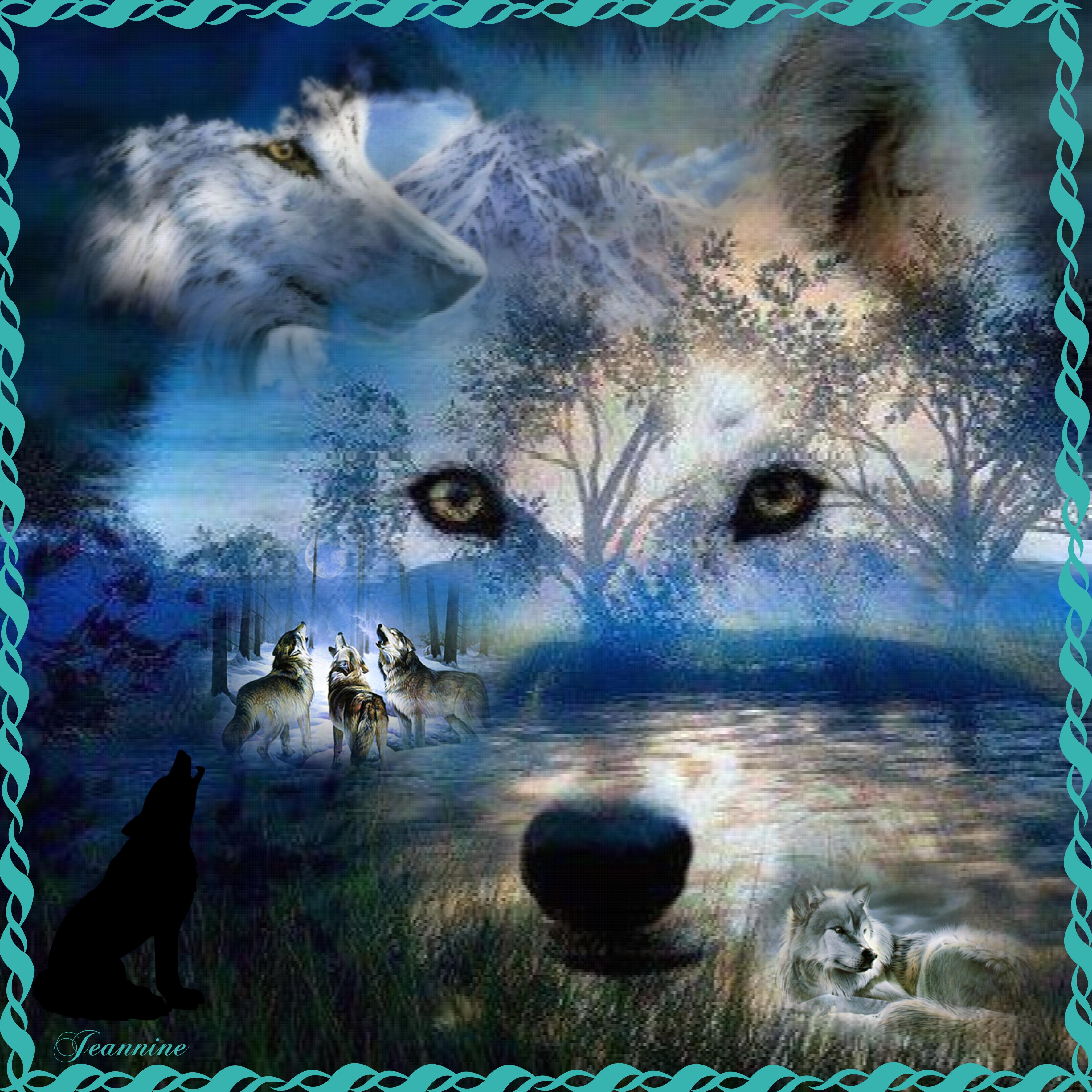 Veillée des loups Jeannine.jpg