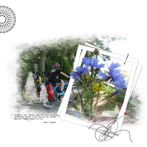 Velo fleurs