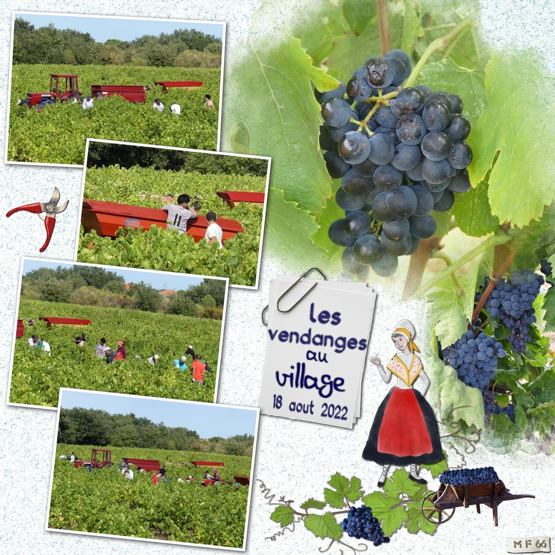vendanges au village 18.08.22.jpg