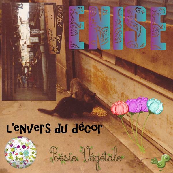 Venise - l'envers du décor