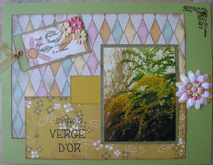 verge d'or