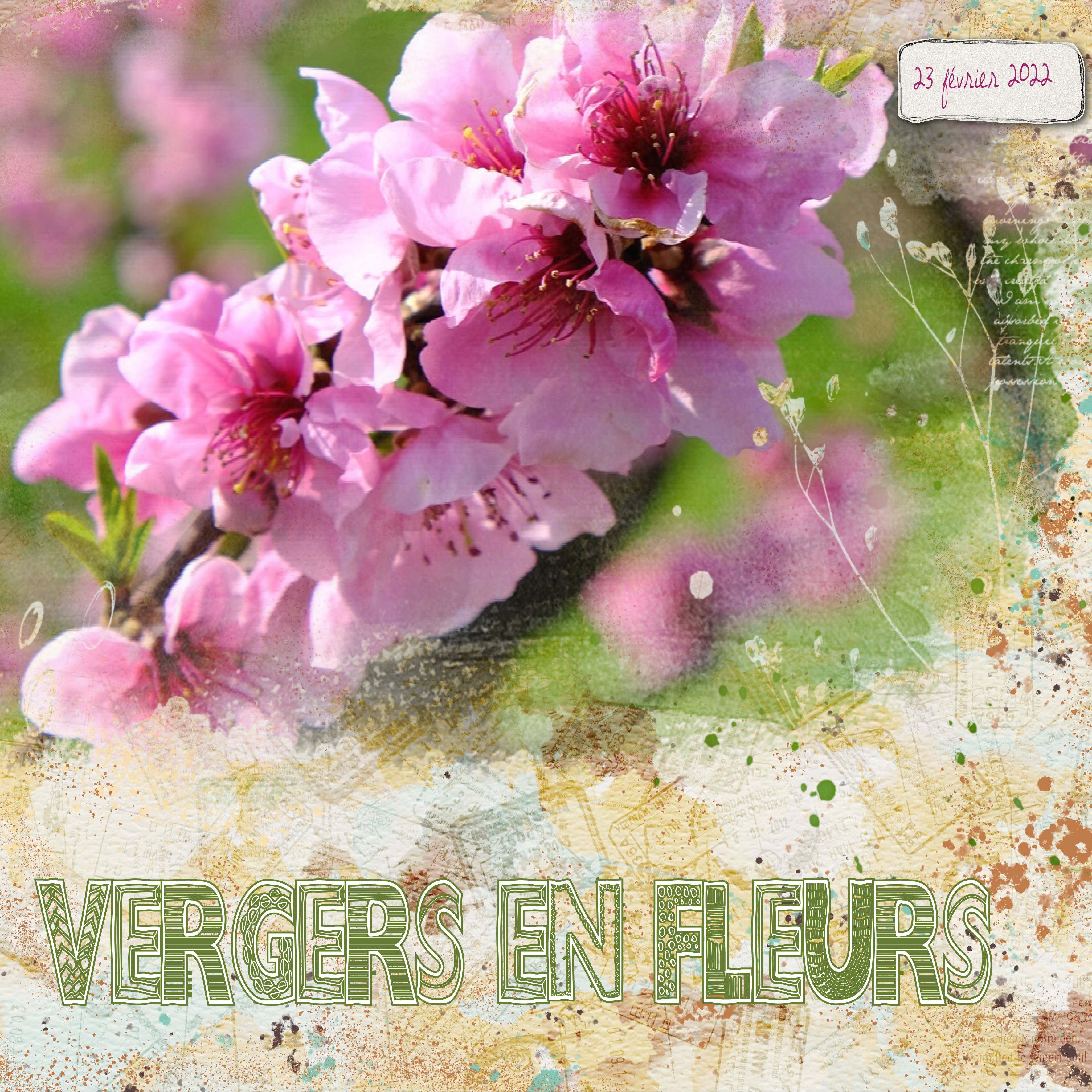 vergers en fleurs écriture .jpg