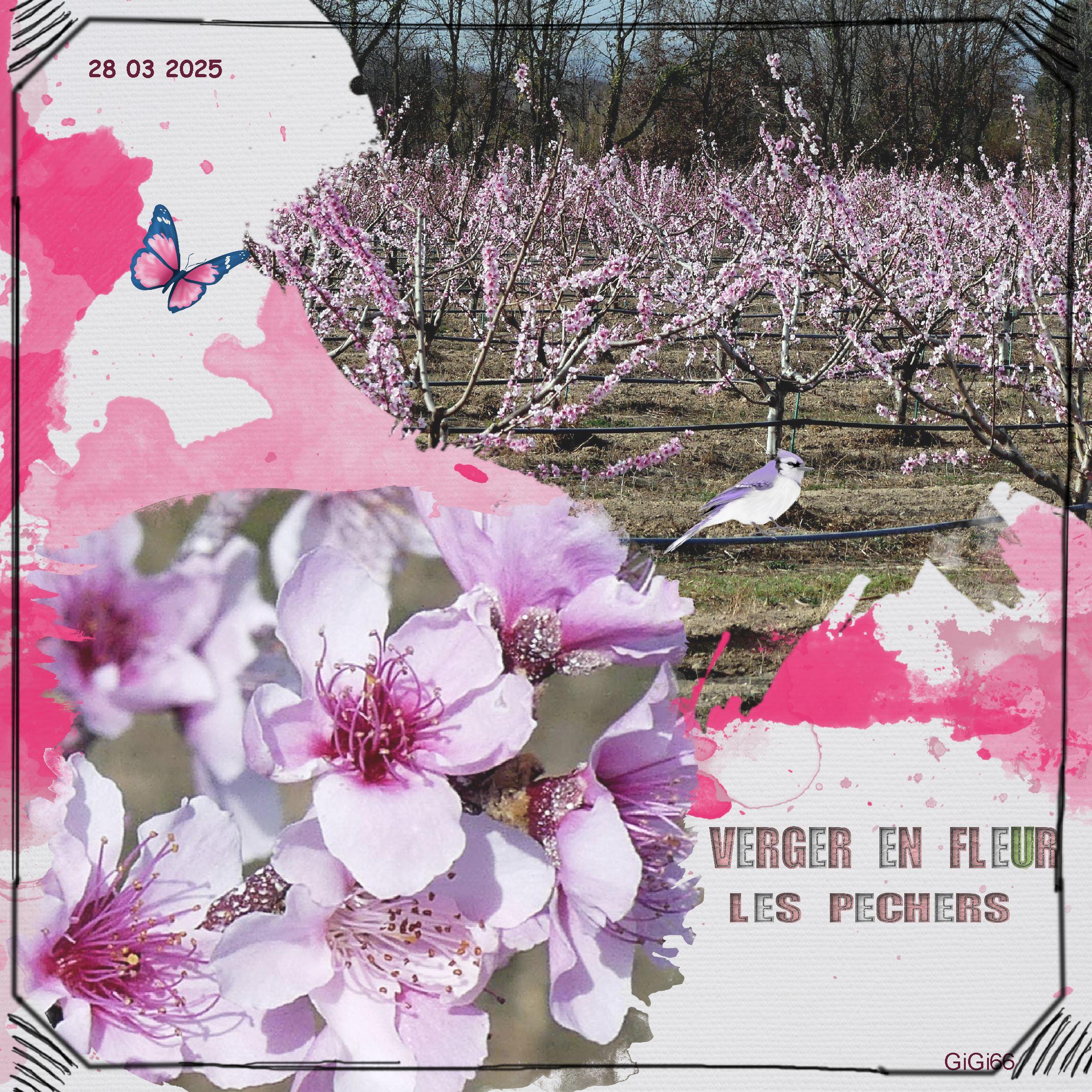 vergers en fleurs écriture .jpg