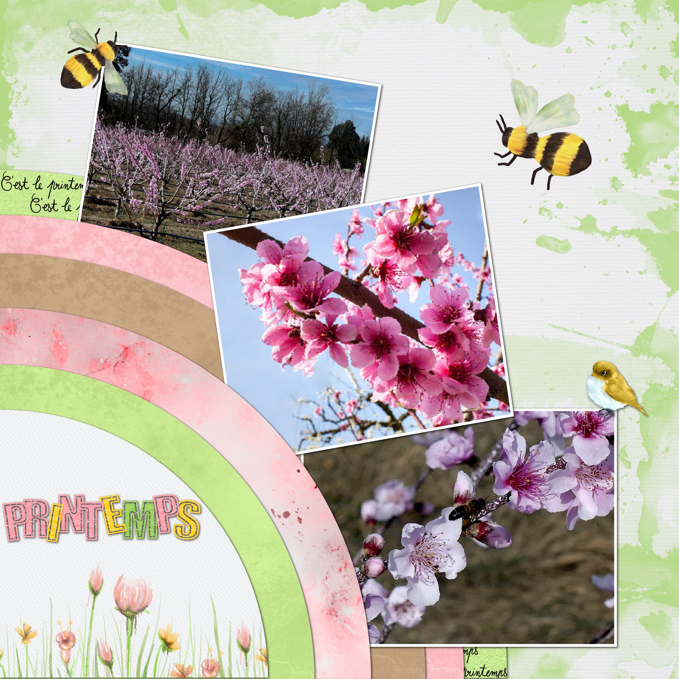 Vergers- kitpetitsamis du printemps .jpg