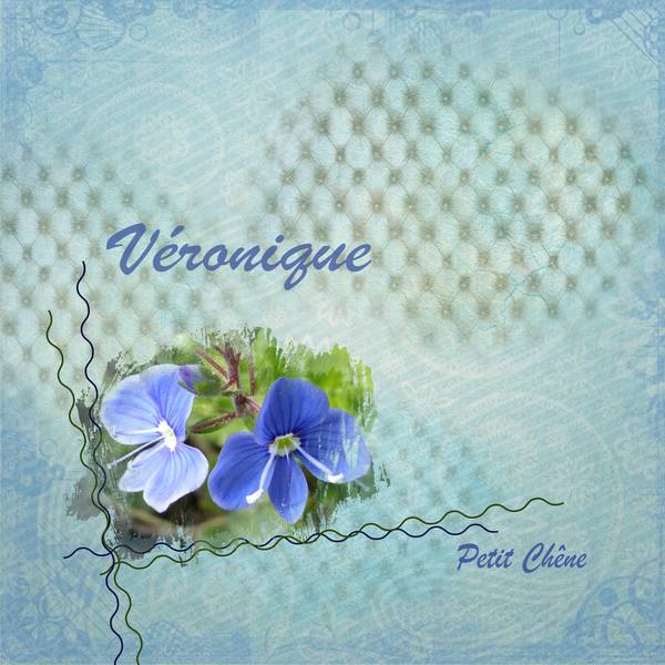 Véronique petit chêne