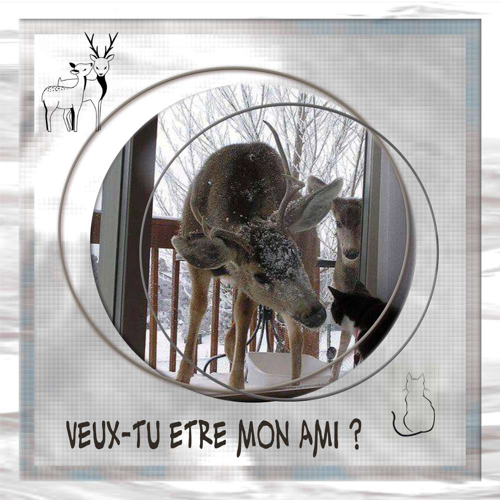 Veux-tu être mon ami ?