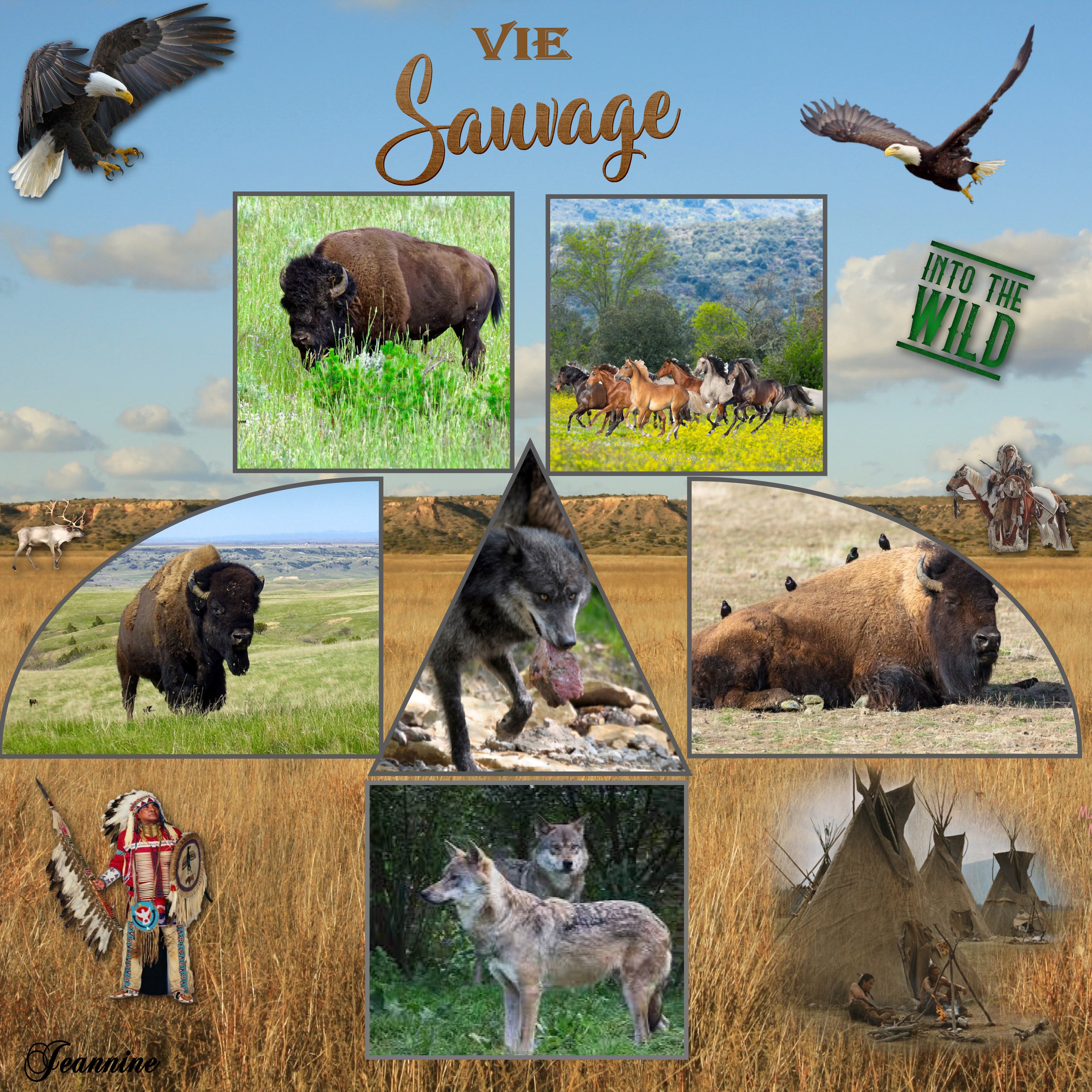 vie sauvage Jeannine.jpg