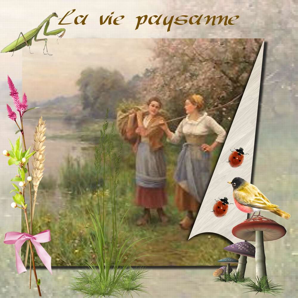 vie__paysanne