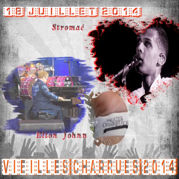 vielles_charrues_2014