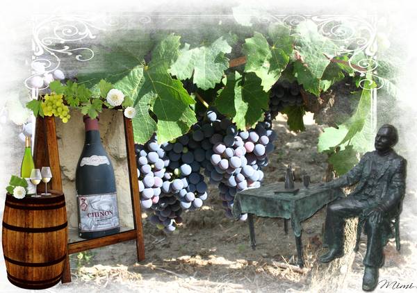 Vigne de Cravant (37)