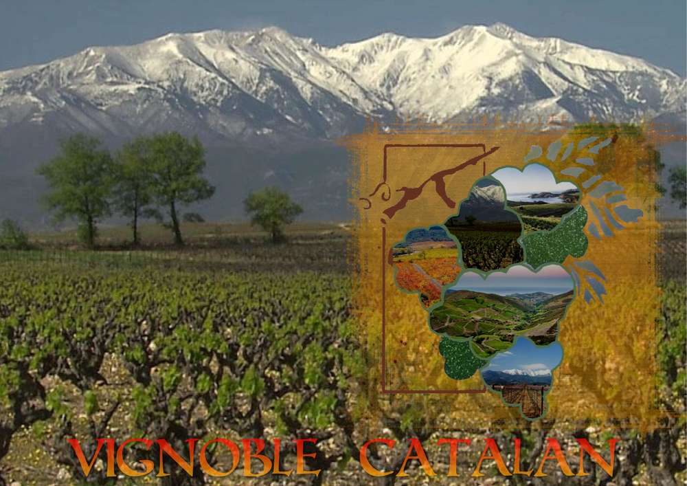 vignoble_catalan_HUGUETTE