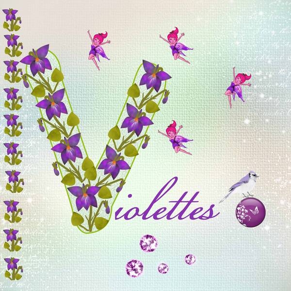 Violettes