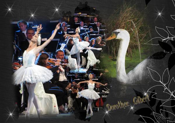 Violon sur le sable5