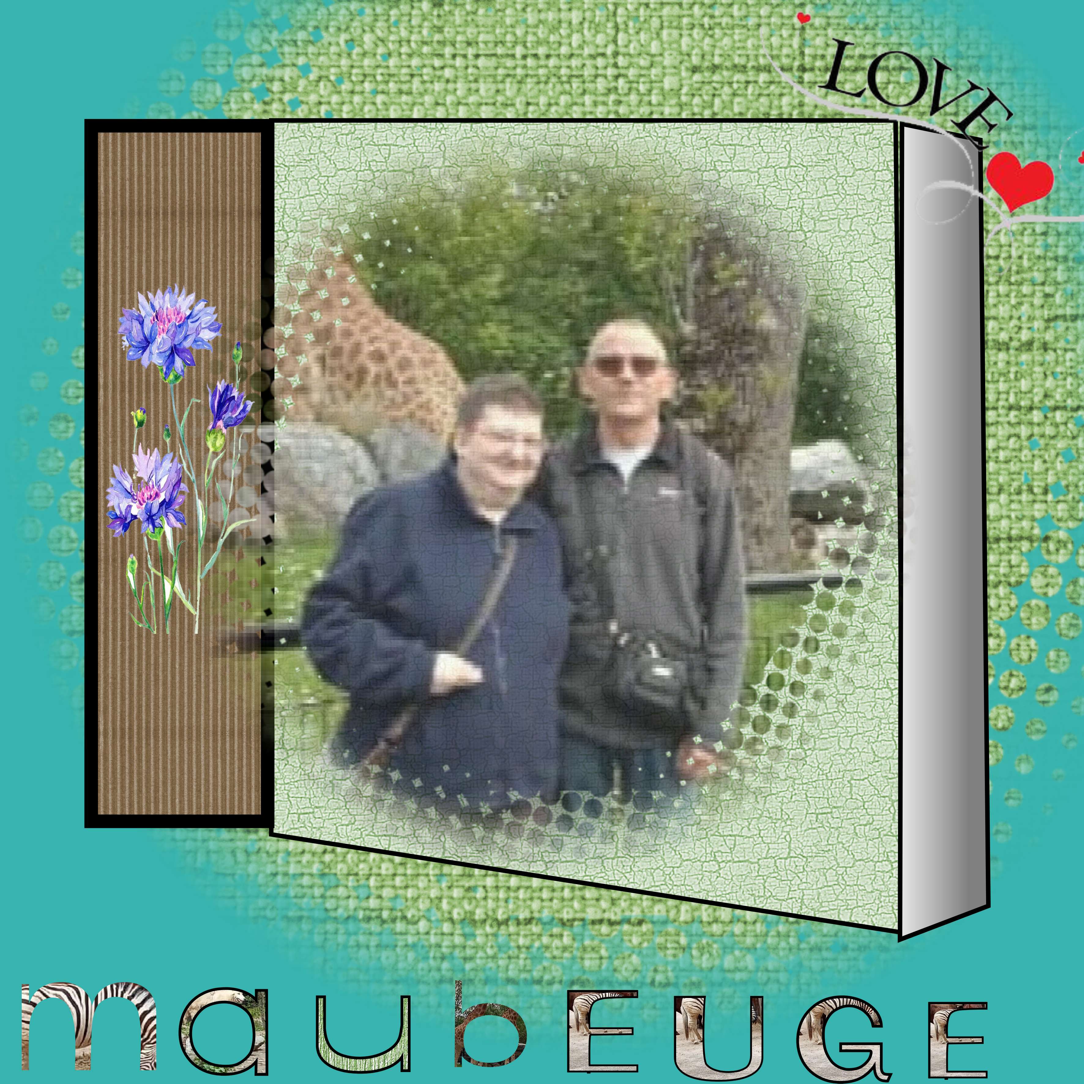 visiite    au  aoo  de  maubeuge.jpg