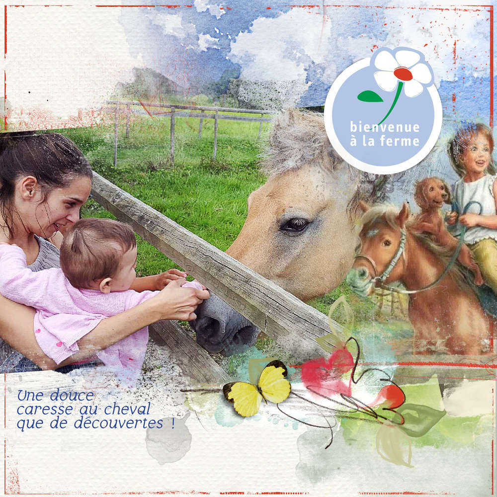 visite à la ferme