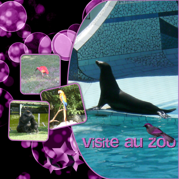 visite au zoo
