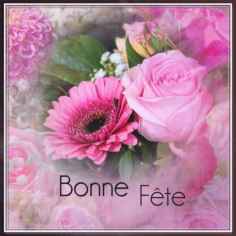 VIVE SAINTE-CATHERINE