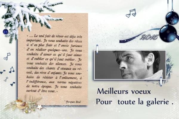 Voeux 2015