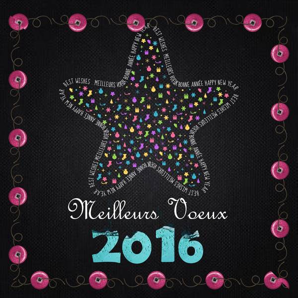 Voeux-2016