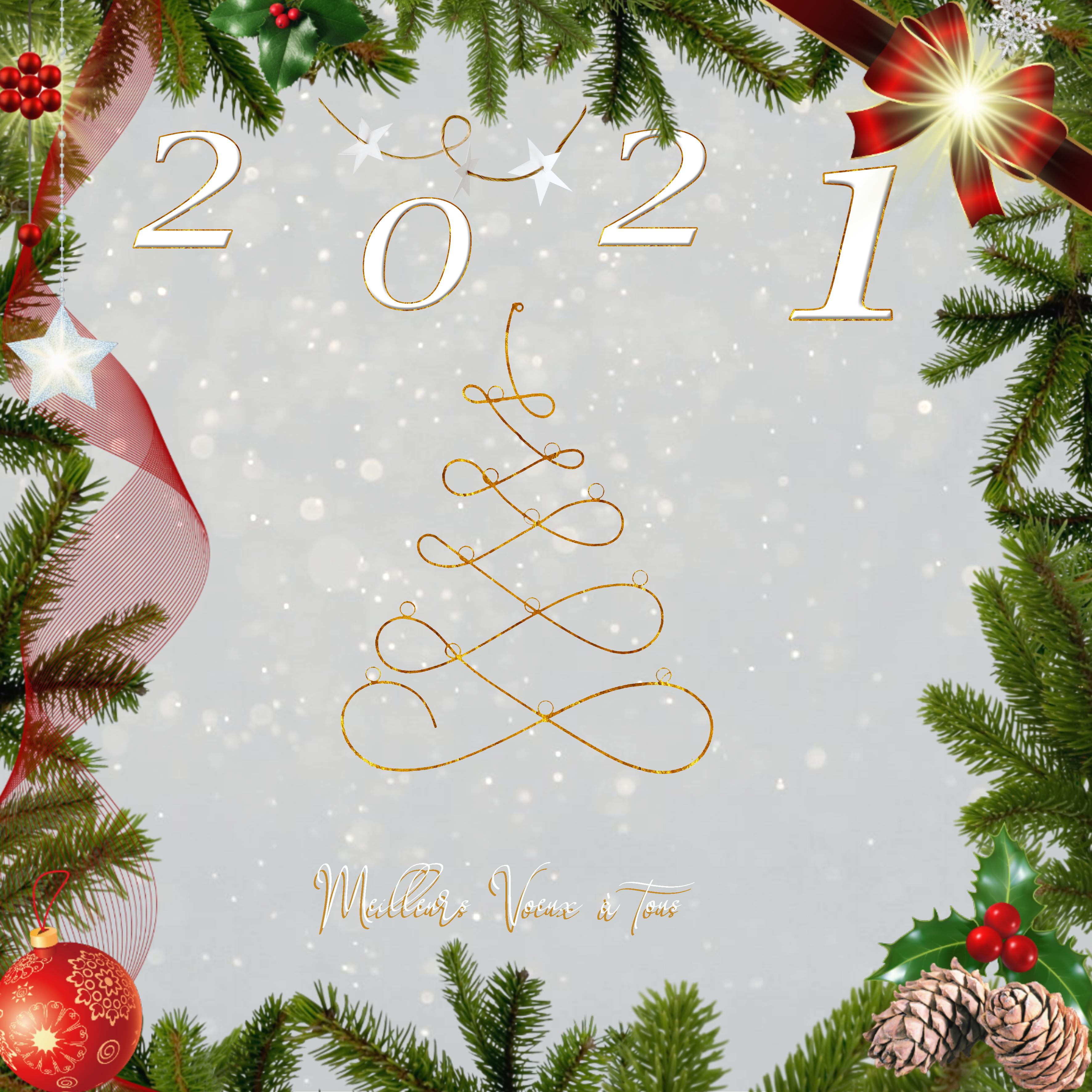 voeux 2021.jpg