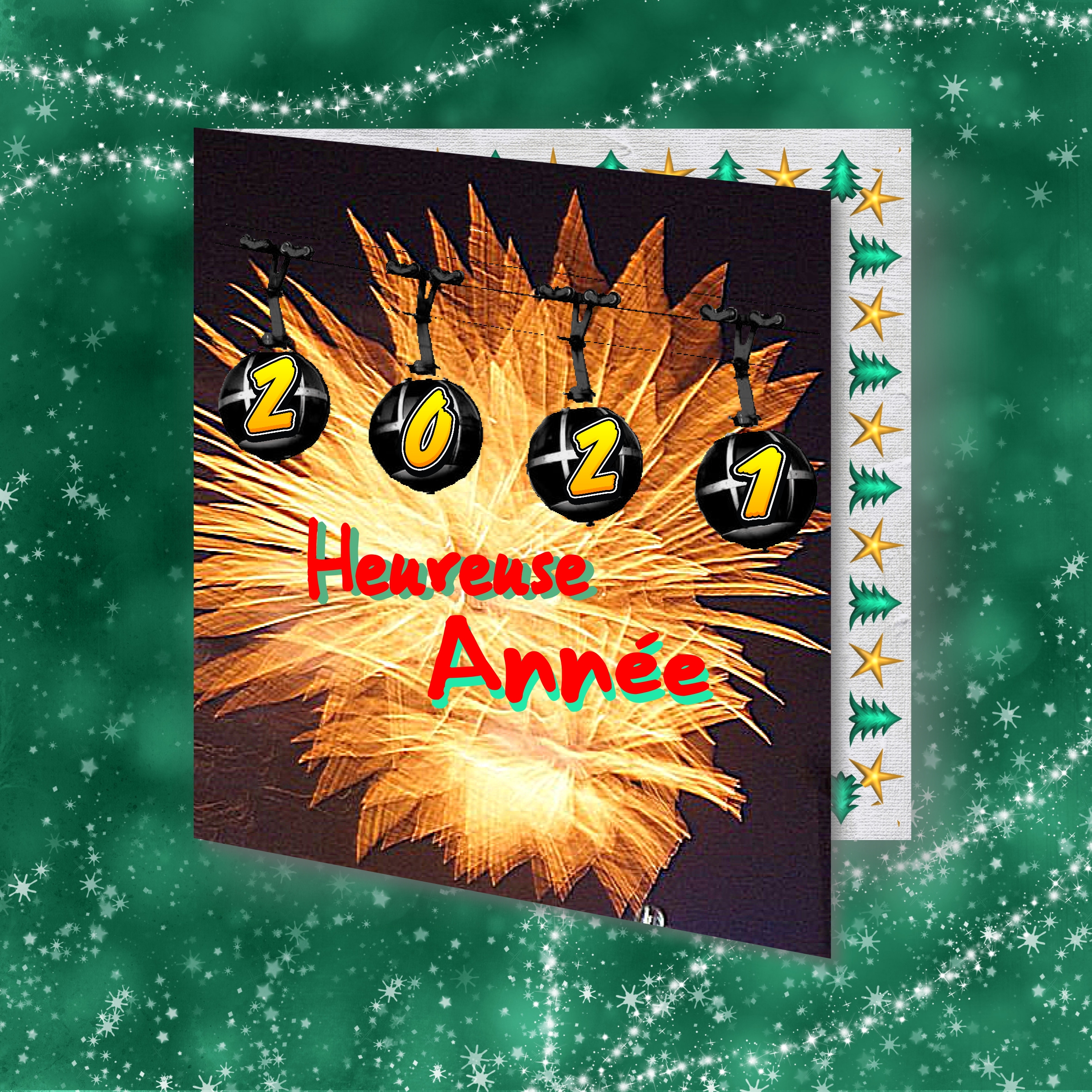 Voeux 2021.jpg