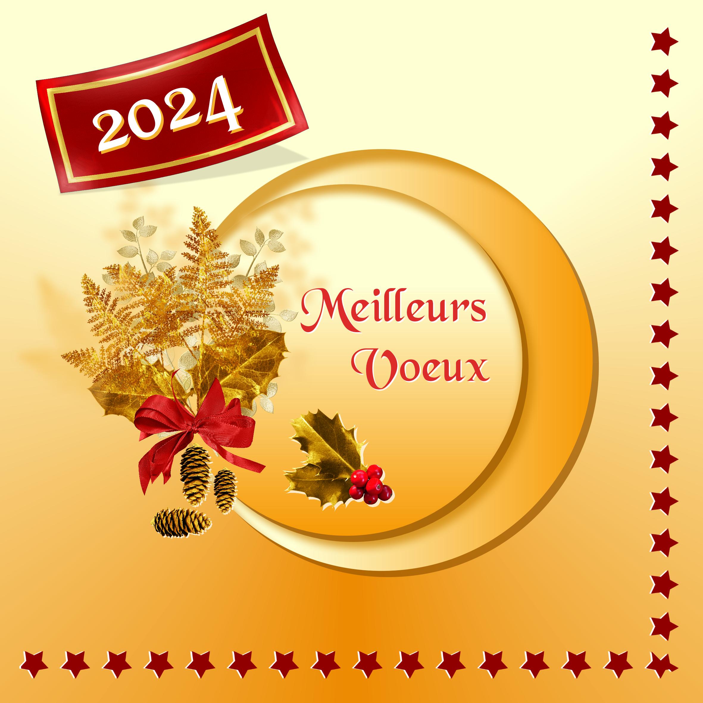Voeux 2024.jpg