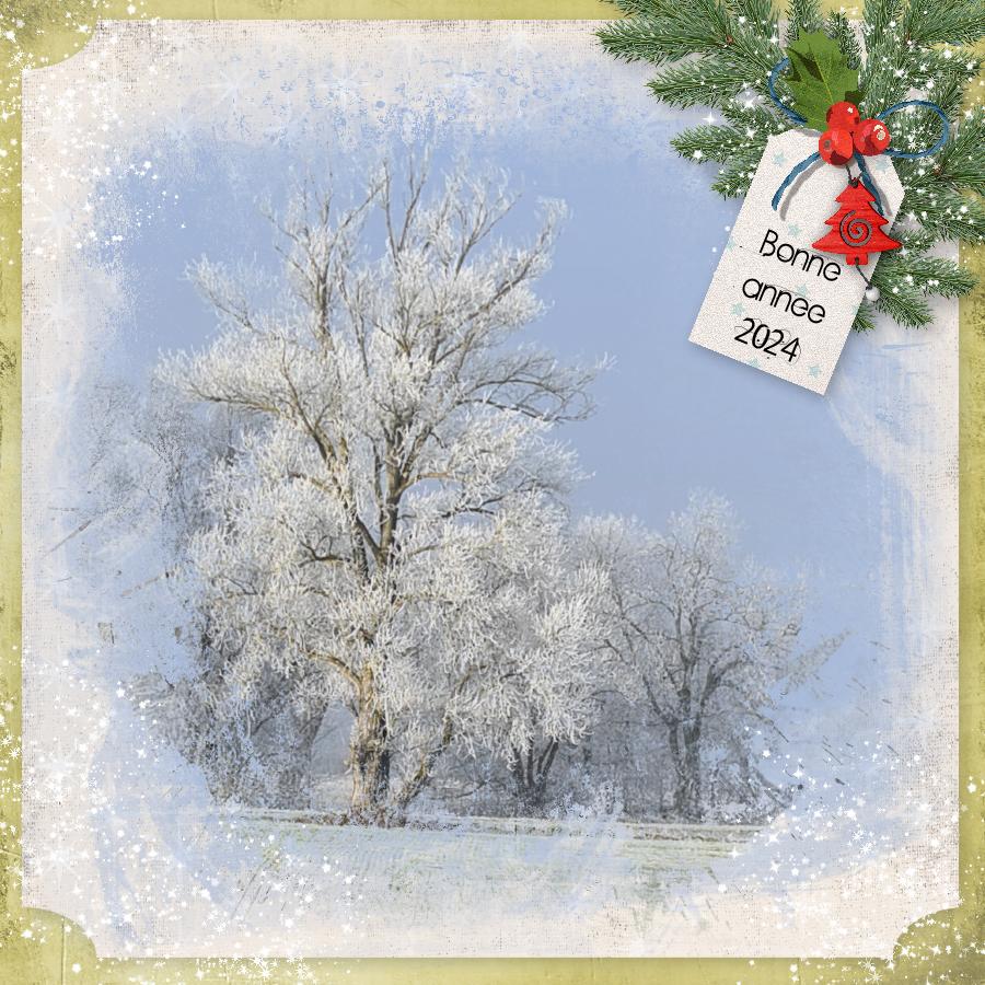 voeux 2024.jpg