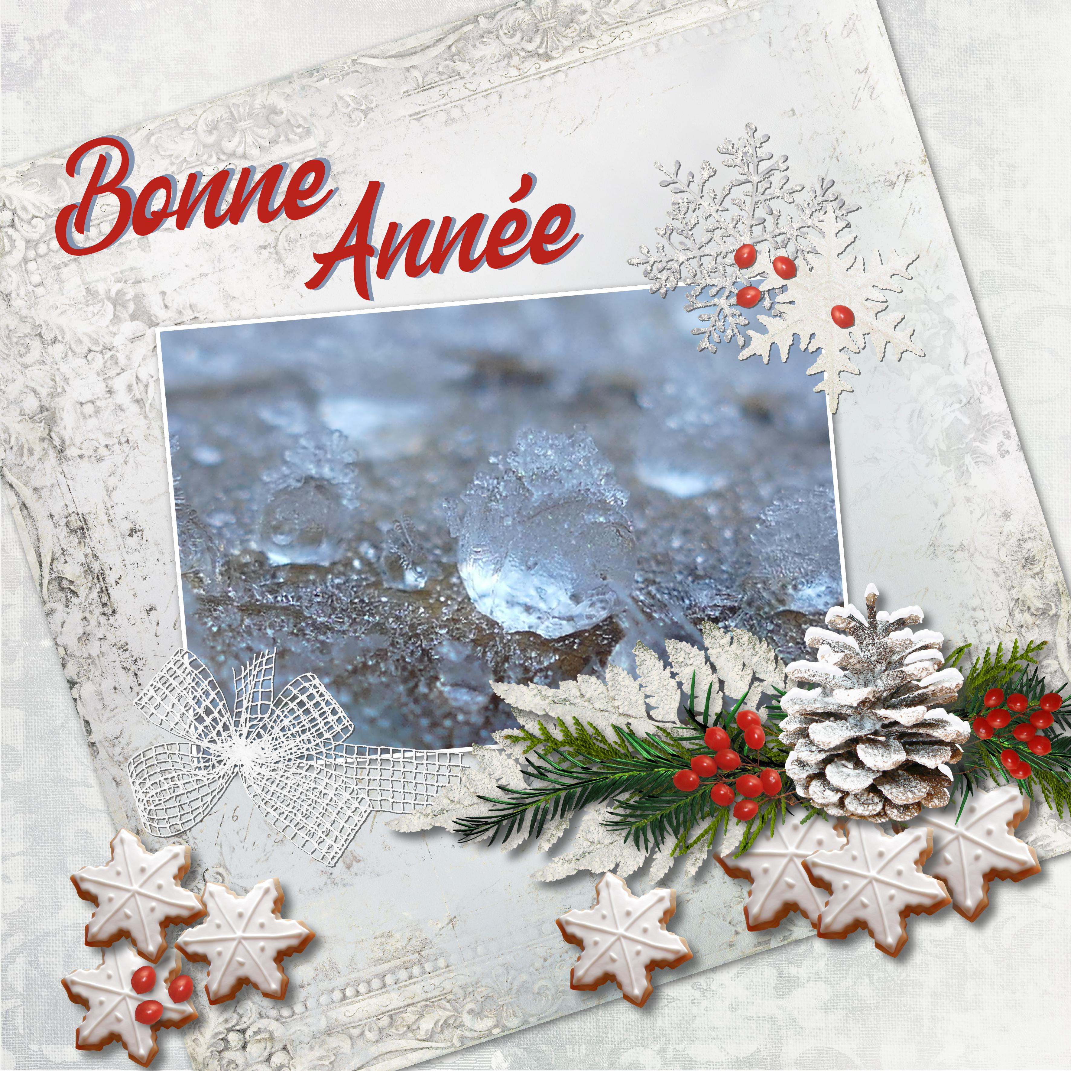 Voeux galerie 2022.jpg