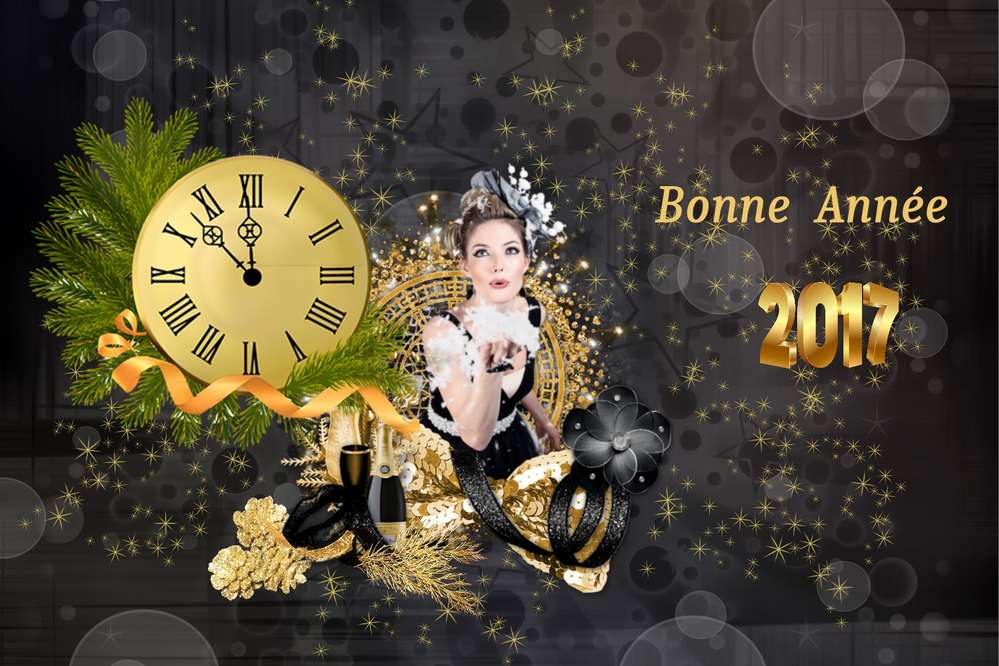 Voeux pour 2017