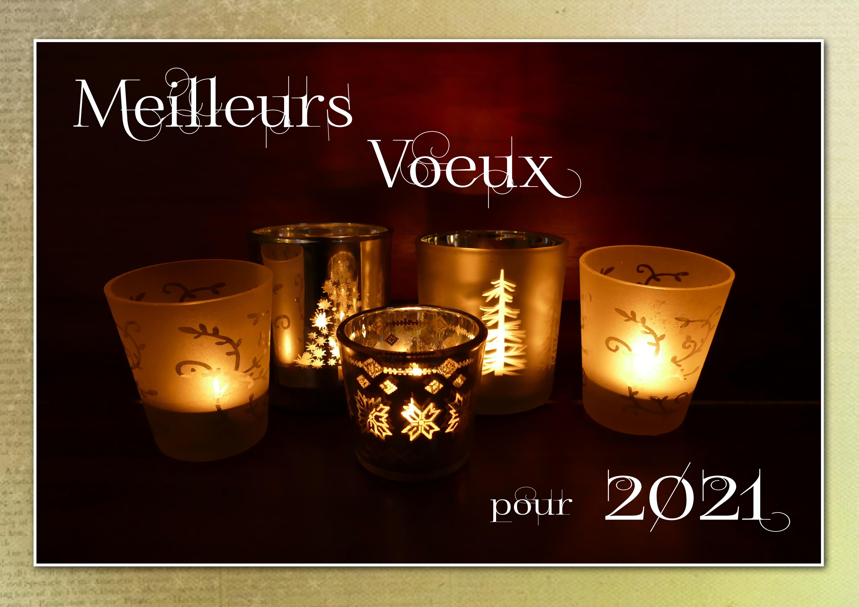 Voeux pour 2021 galerie.jpg