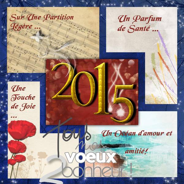 voeux2015bis