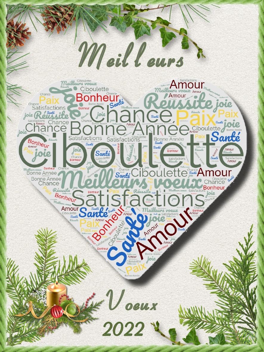 voeux2022ciboulette.jpg