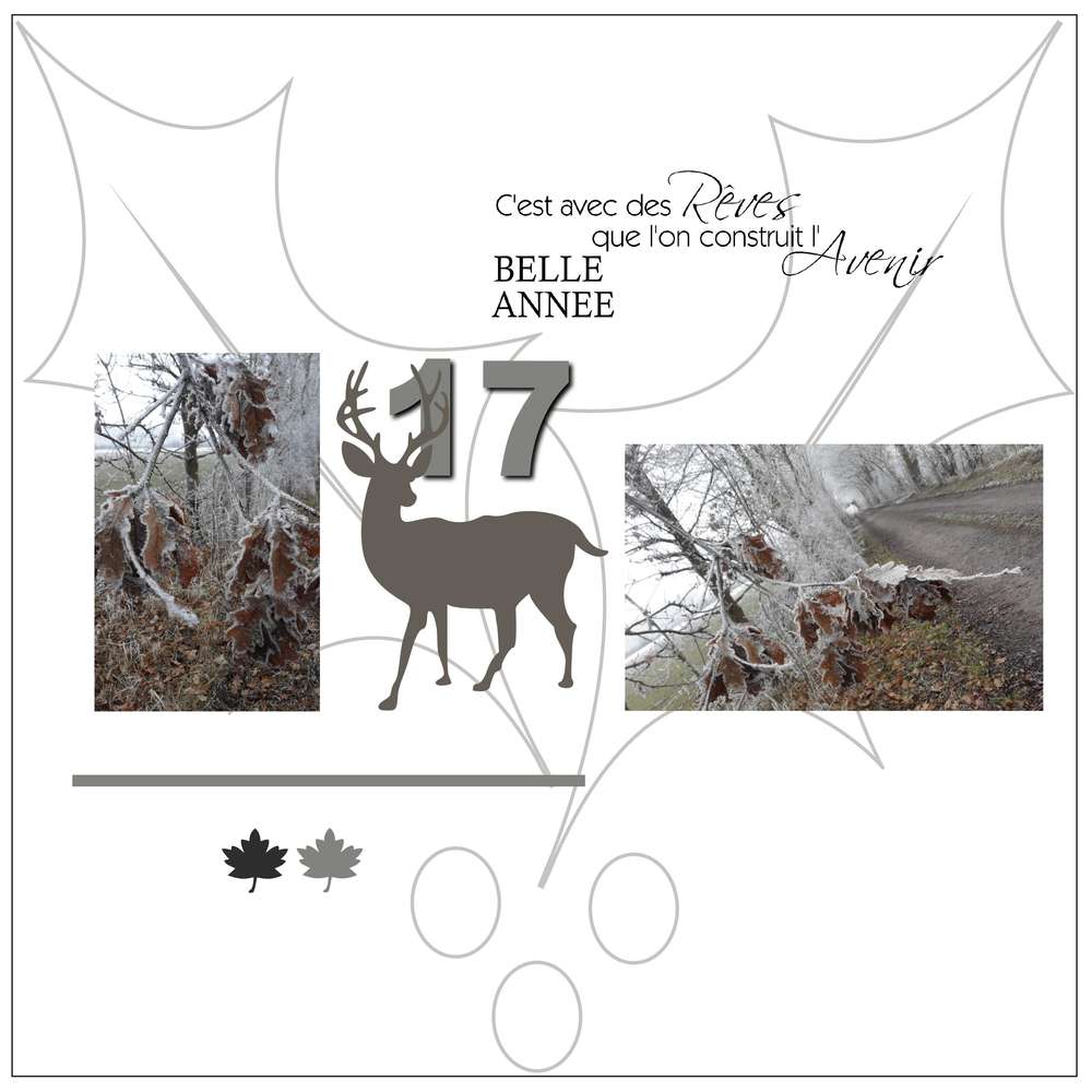 voeux_2017__page_1_