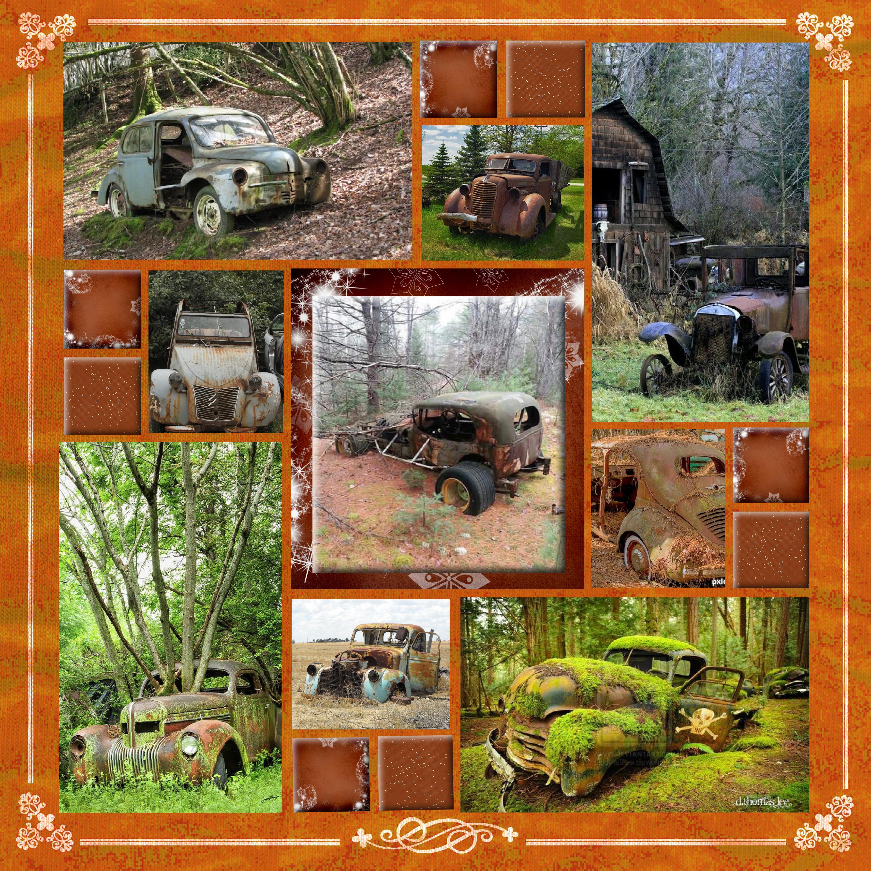voitures dans la nature.jpg