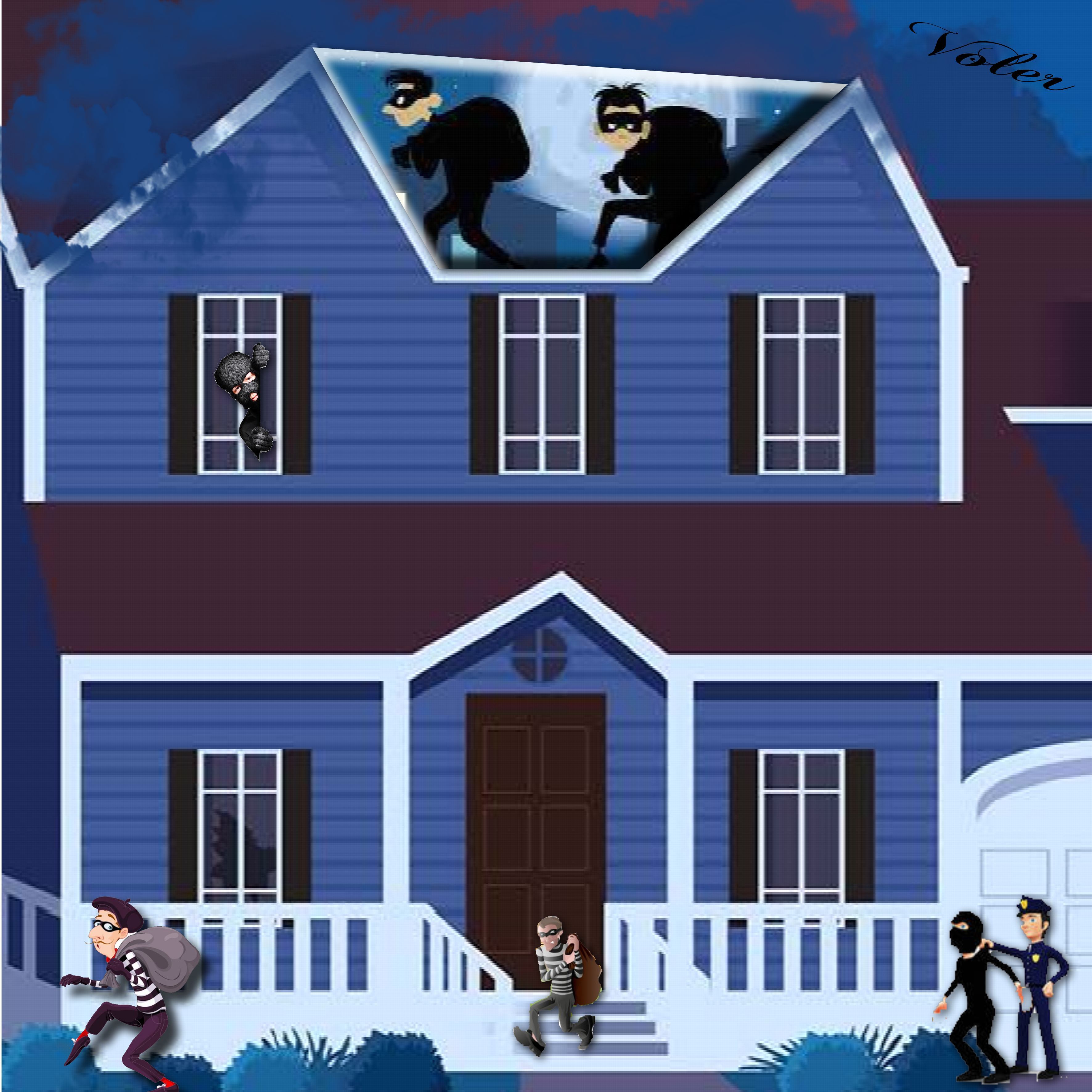 Voler dans la maison_Jeannine.jpg