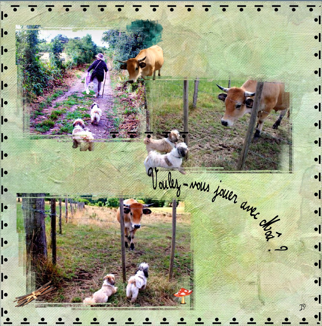 Voulez-vous jouer avec moâ ?