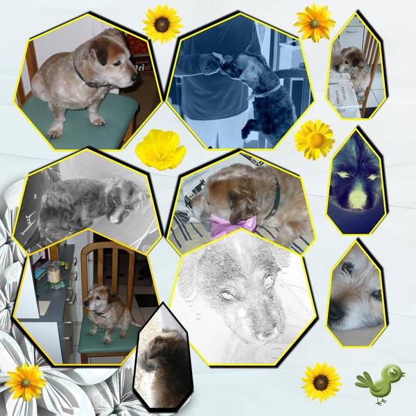 vous aimez tichien...