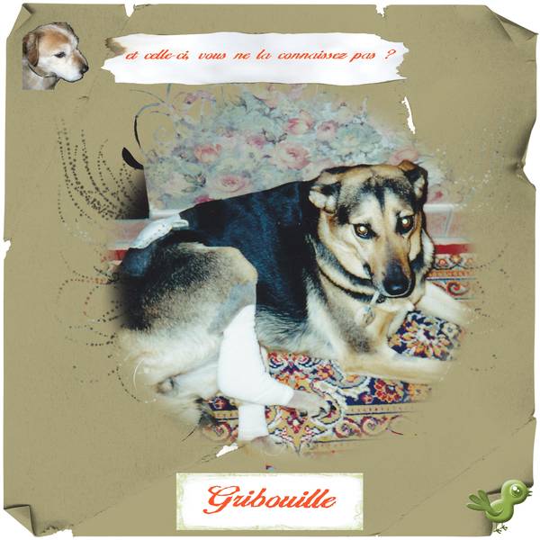 Vous ne connaissez pas Gribouille...