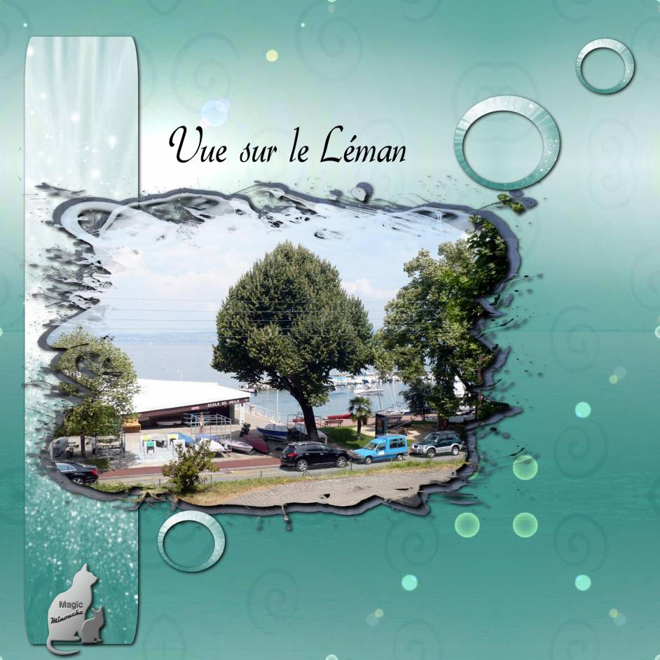 vue sur le Léman