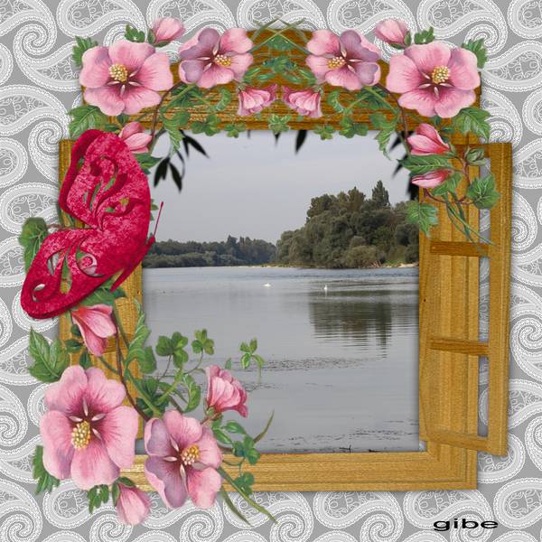 vue__sur_le_vieux_Rhin