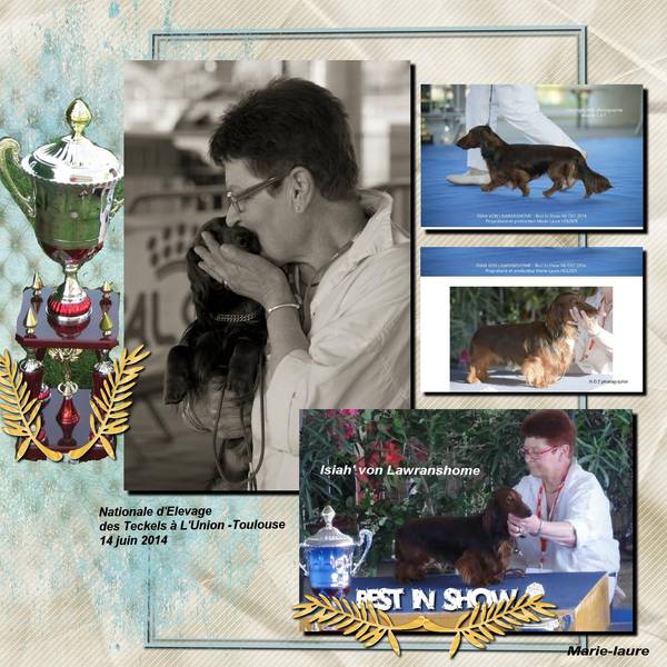 Week end d'exposition .....