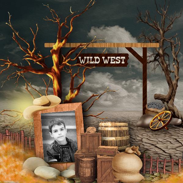 WILD WEST