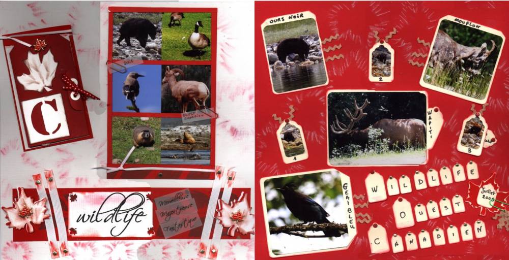 wildlife blanche et rouge montées